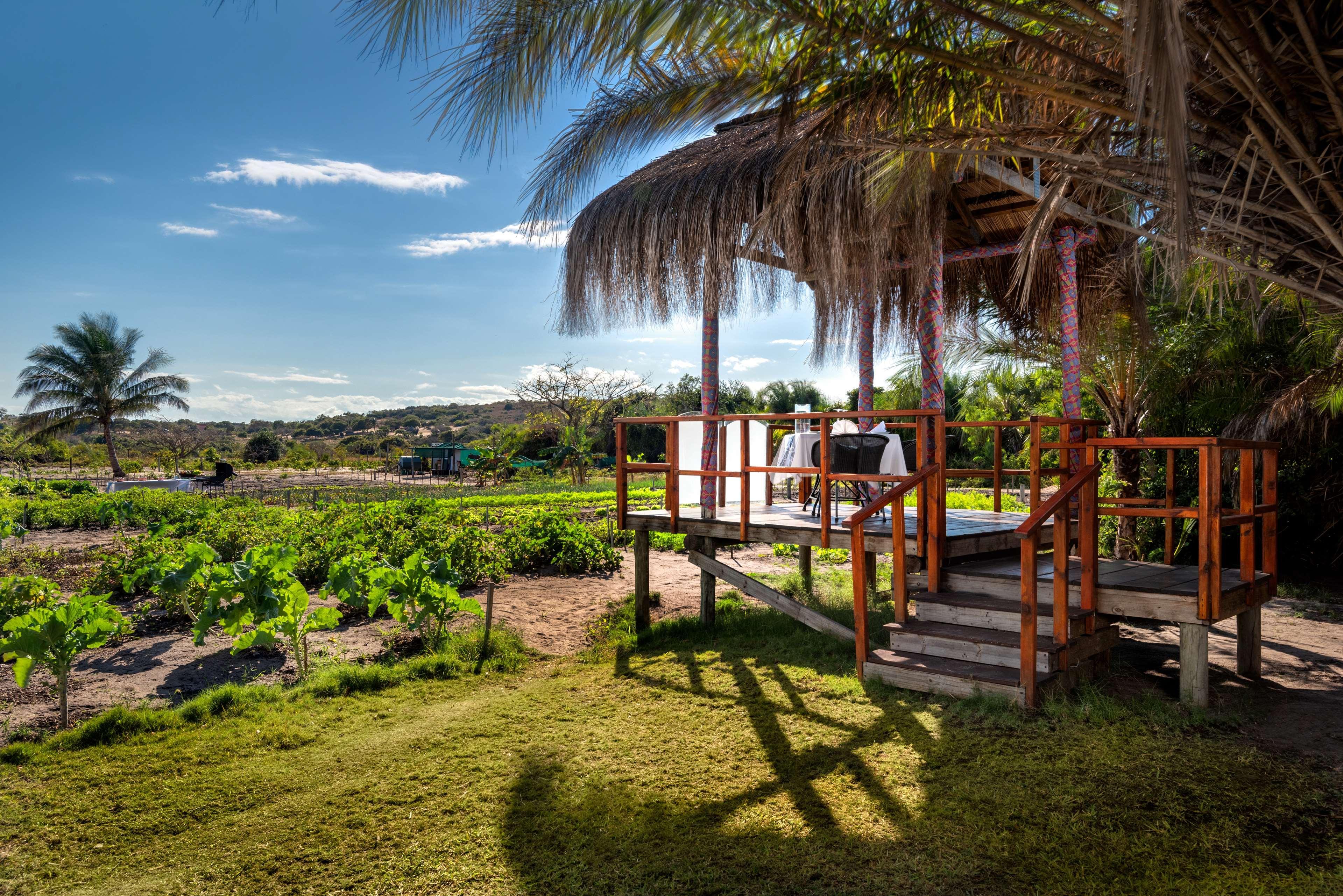 Anantara Bazaruto Island Resort Asneira Εξωτερικό φωτογραφία